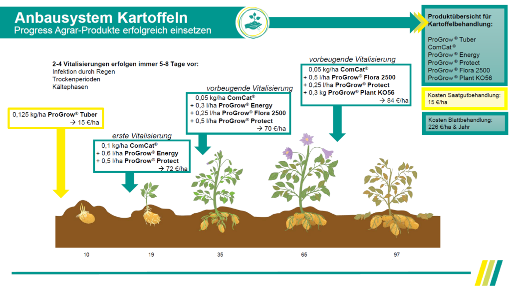 Anbausystem Kartoffel