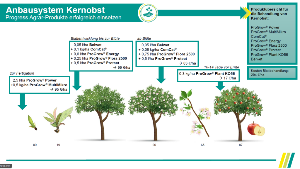 Anbausystem Kernobst