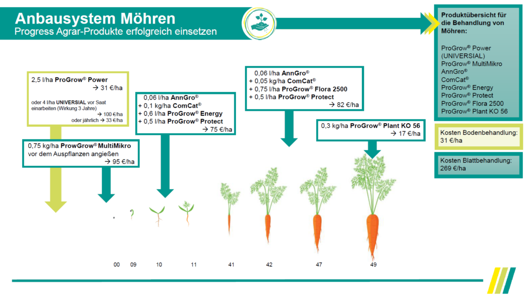 Anbausystem Möhren