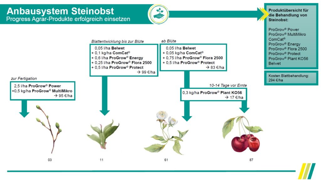 Anbausystem Steinobst