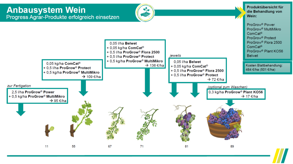 Anbausystem Wein