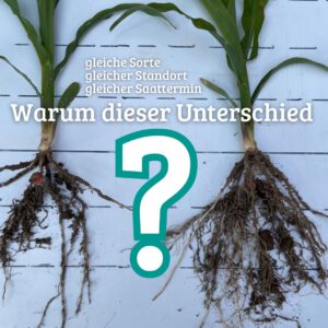 Bodenverbesserer UNIVERSIAL Wurzelwerk