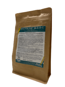 Bactolive MSSC