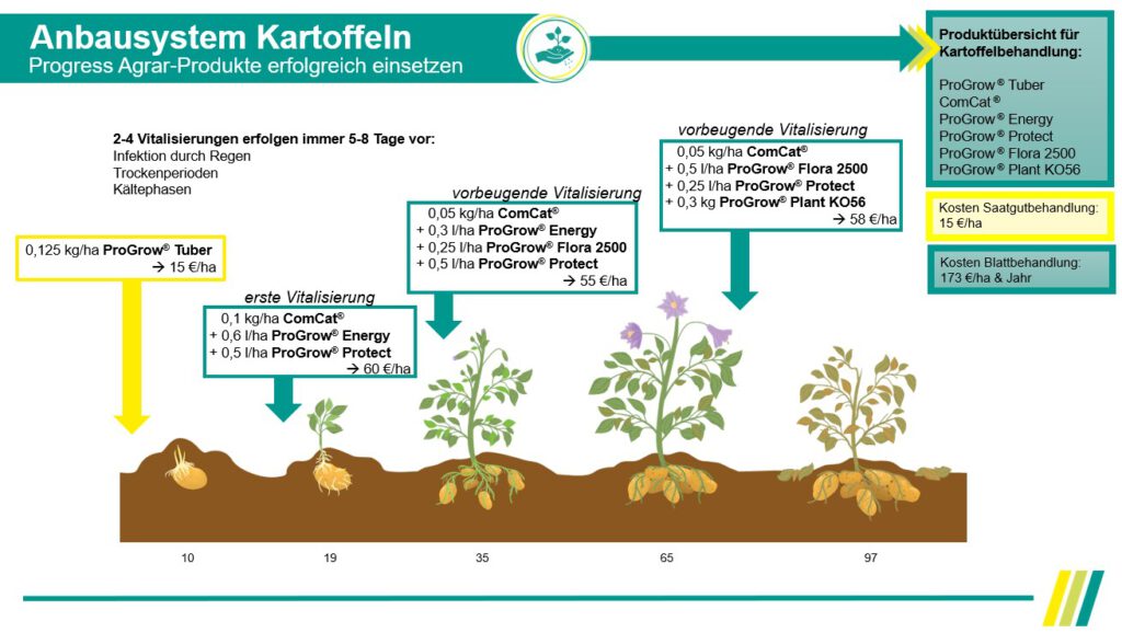 anbausystem_kartoffel