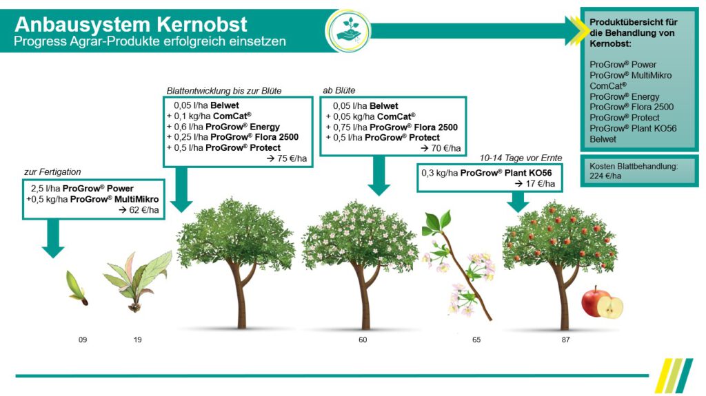 anbausystem_kernobst