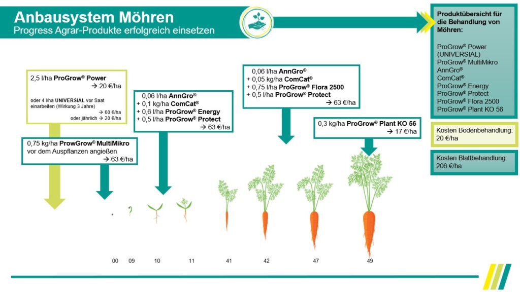 anbausystem_möhren