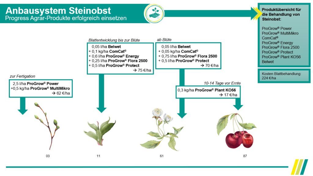 anbausystem_steinobst