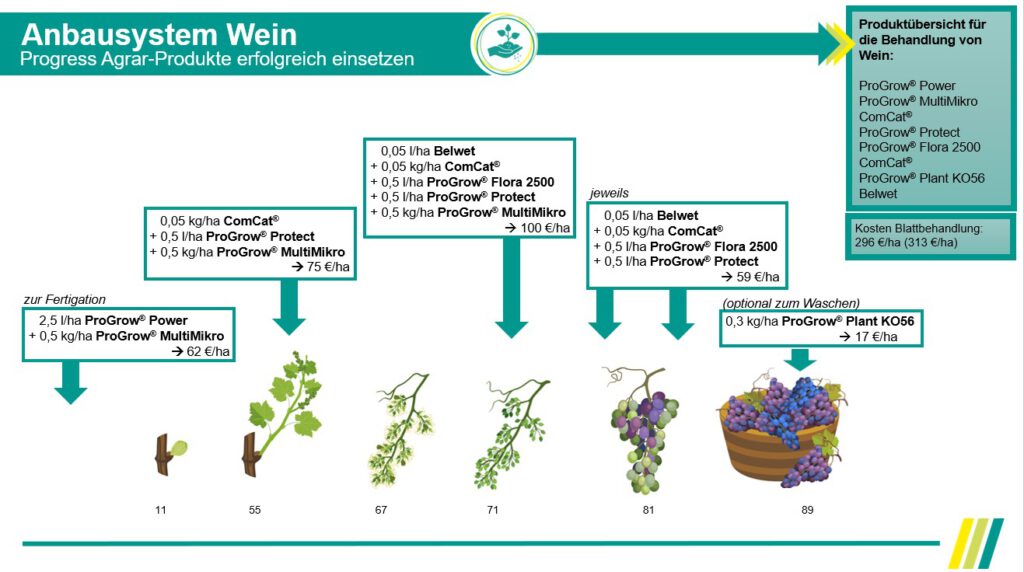 anbausystem_wein