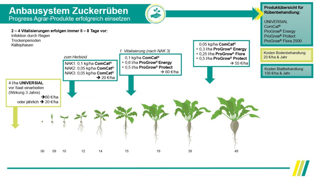 anbausystem_zuckerrübe